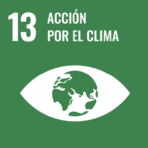 Acción por el clima Acción por el clima
