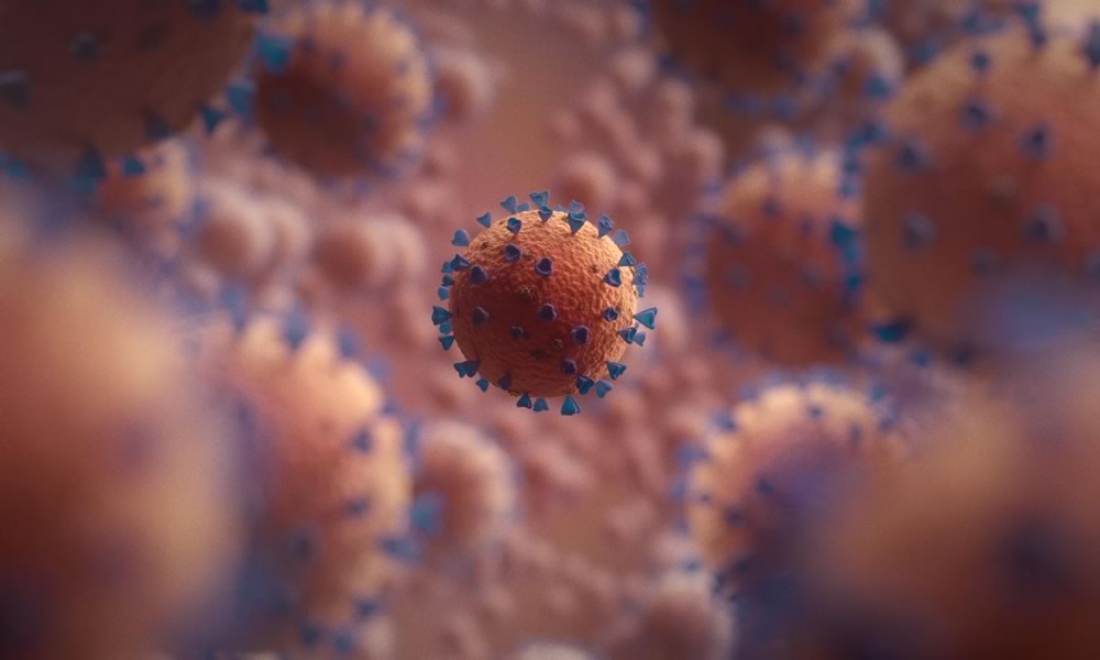 Coronavirus estructura