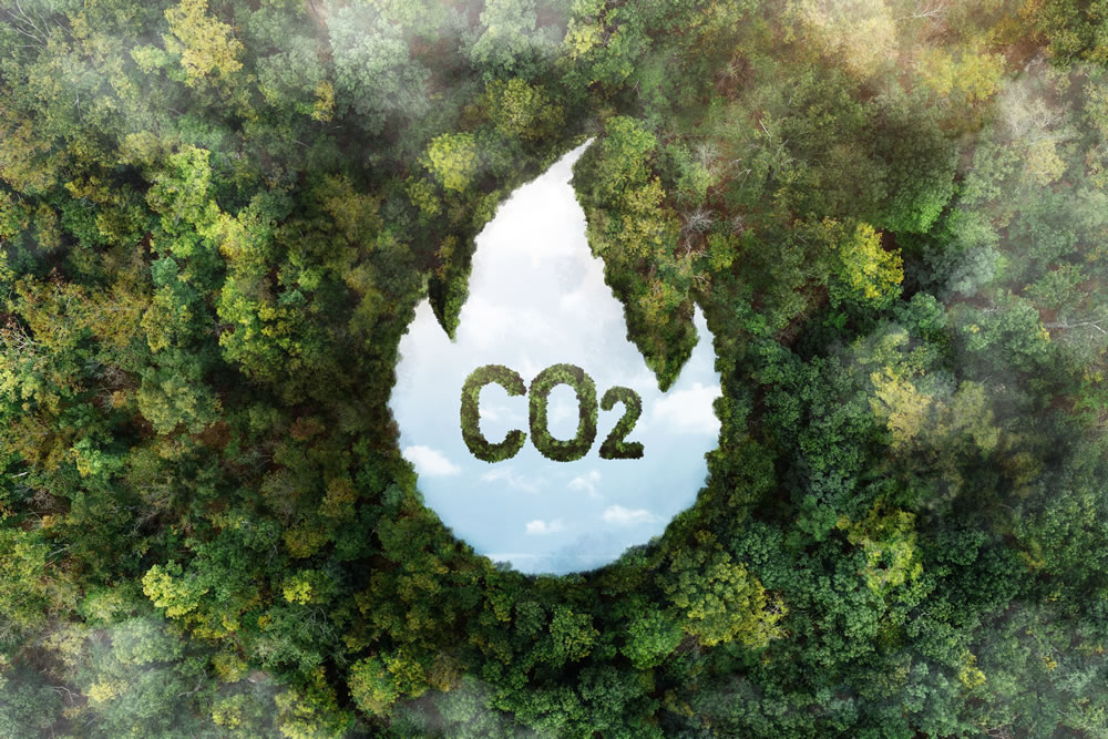 ¿Cómo impacta la huella de carbono nuestro futuro?