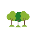 Bosques y selvas
