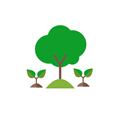 Reforestación y aforestación