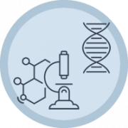 Microbioma y enfermedades crónicas