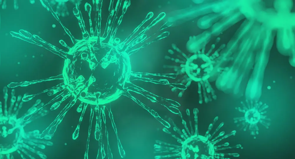 Bacterias Gram resistentes
