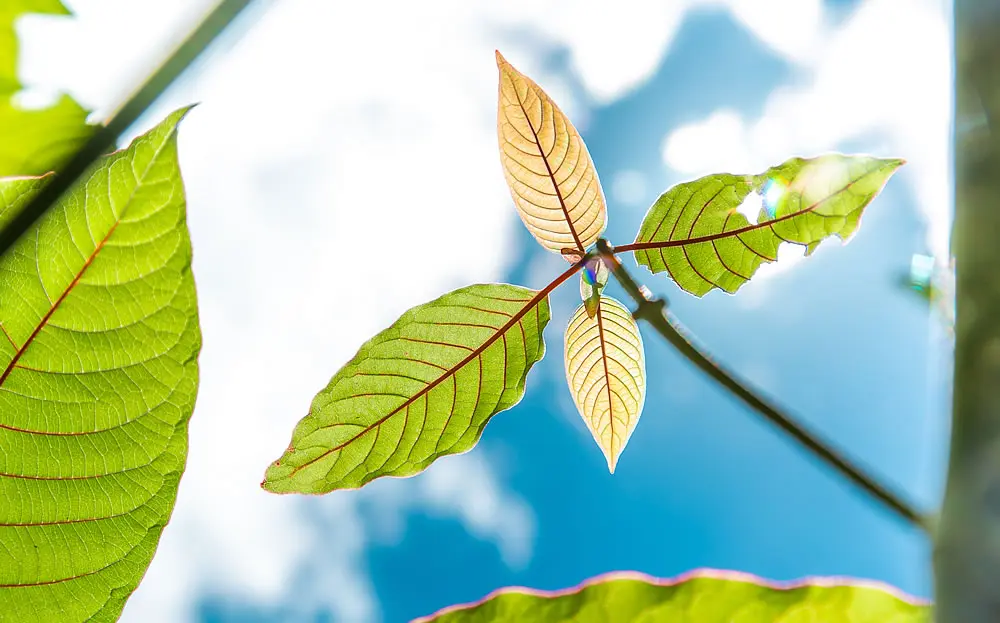 Ecodiseño en entornos críticos