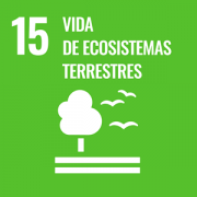 Vida ecosistemas terrestres