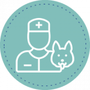 Protección del equipo humano