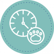 Eficiencia operativa y ahorro de tiempo