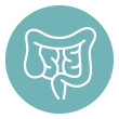 Intestino