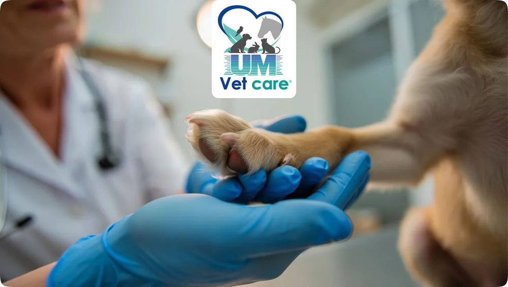 Día del Veterinario Union Medical